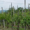 dsc04069_000.jpg