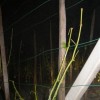 to__a_19_05_2009_032.jpg