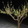 to__a_19_05_2009_047.jpg