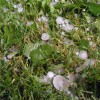 to__a_19_05_2009_003.jpg