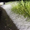 to__a_19_05_2009_008.jpg