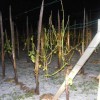 to__a_19_05_2009_031.jpg