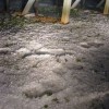 to__a_19_05_2009_034.jpg