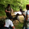pic_0582_000.jpg