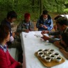 pic_0538_000.jpg