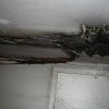 img_6432.jpg