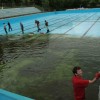 img_5247.jpg