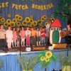 sdl_018.jpg