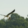 img_4655.jpg