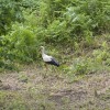 img_4683.jpg