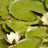 img_4690.jpg