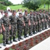 vdl_024.jpg