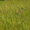 img_4834.jpg
