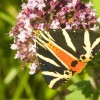 img_0886.jpg