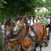 img_8130.jpg