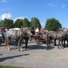 img_5430_11_1_000.jpg