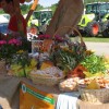 img_5414_6_1_000.jpg