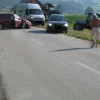 n229.jpg