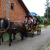 szlata__kocija.jpg
