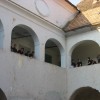 img_9206.jpg