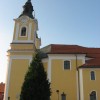 img_9234.jpg