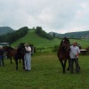 dsc04982_000.jpg