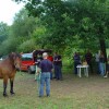 dsc04993_000.jpg