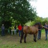 dsc04989_000.jpg