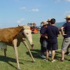 dsc05063_000.jpg