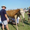 dsc05069_000.jpg
