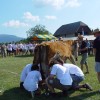 dsc05067_000.jpg
