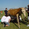 dsc05070_000.jpg