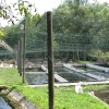 rdl_005.jpg
