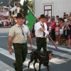 img_9545.jpg