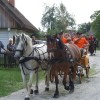_egnanje_arti_e2009_05.jpg