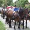 _egnanje_arti_e2009_04.jpg