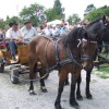 _egnanje_arti_e2009_03.jpg