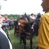 _egnanje_arti_e2009_10.jpg