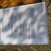 dl_003.jpg