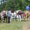 img_6367_9_1_000.jpg