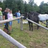 img_6384_20_1_000.jpg