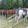 img_6381_17_1_000.jpg