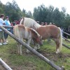 img_6353_3_1_000.jpg