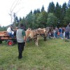 img_6385_21_1_000.jpg