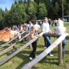img_6351_1_1_000.jpg