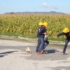 img_0056.jpg