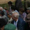 img_2598.jpg