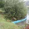 img_4318_000.jpg