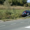 auris_zajahal_odbojno_ograjo.jpg