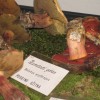 img_1718_000.jpg